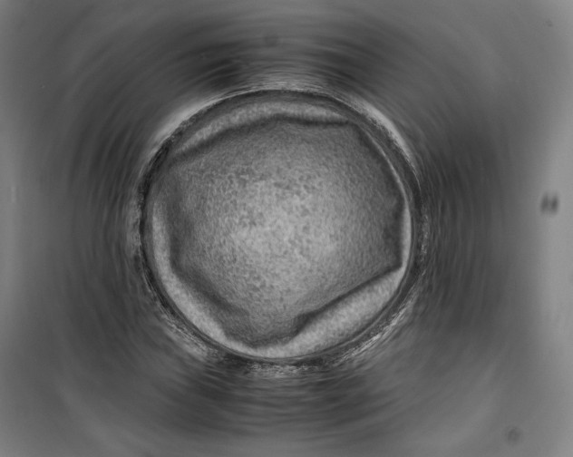 X0000099531019200806061426