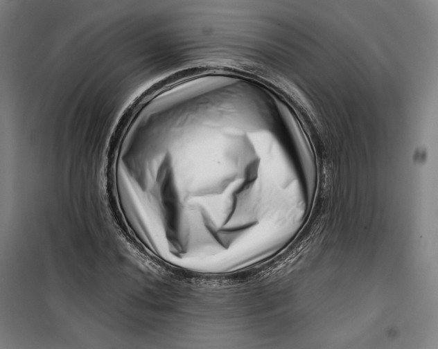 X0000099531020200806061426