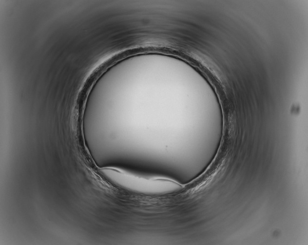 X0000099531021200806061426