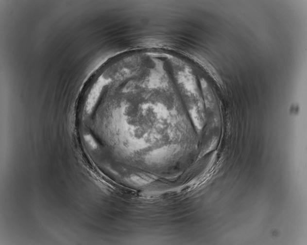 X0000099531023200806061426