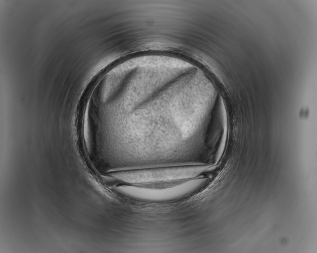 X0000099531026200806061427