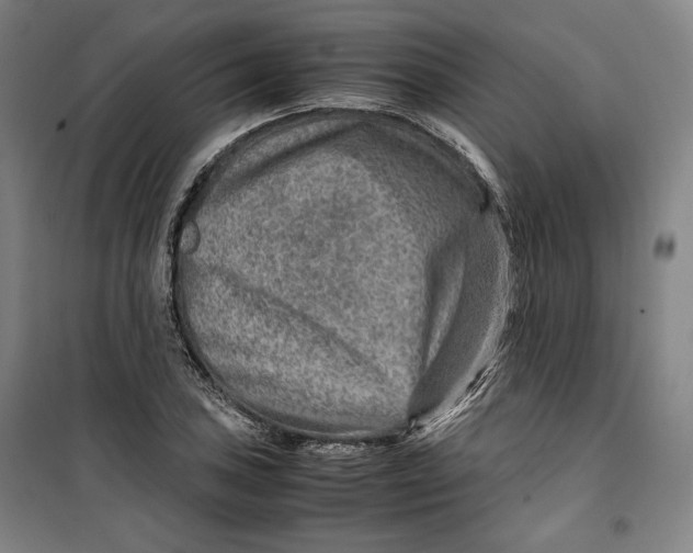 X0000099531027200806061427