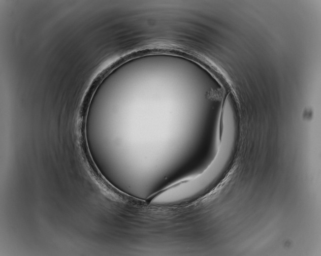 X0000099531029200806061427