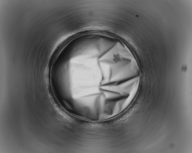 X0000099531030200806061427