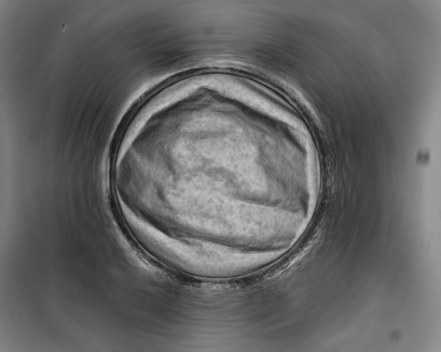 X0000099531032200806061427