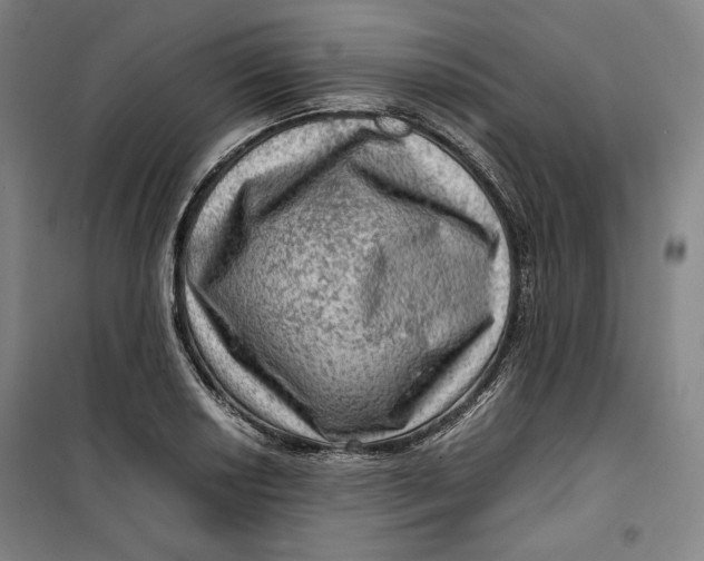 X0000099531034200806061427