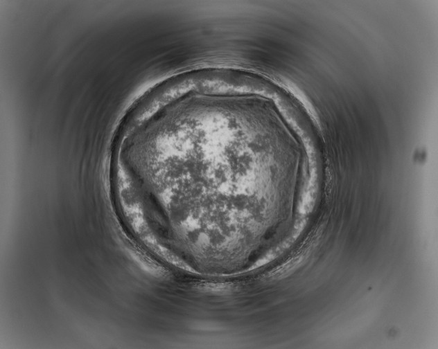 X0000099531035200806061427