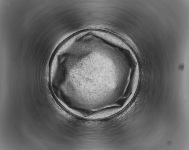 X0000099531036200806061427