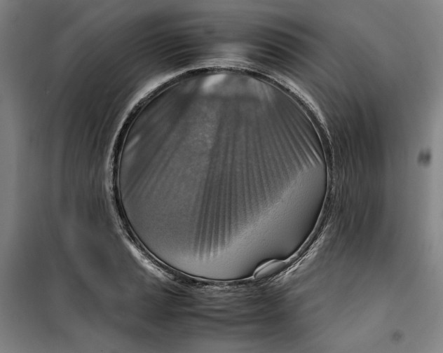 X0000099531037200806061427