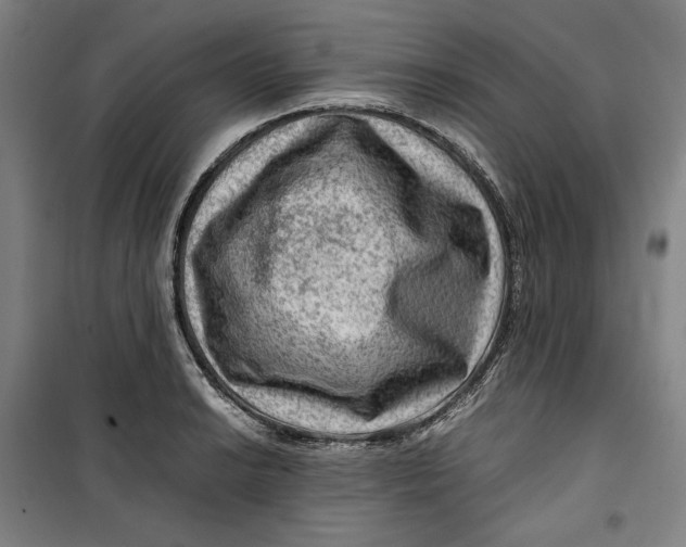 X0000099531038200806061427