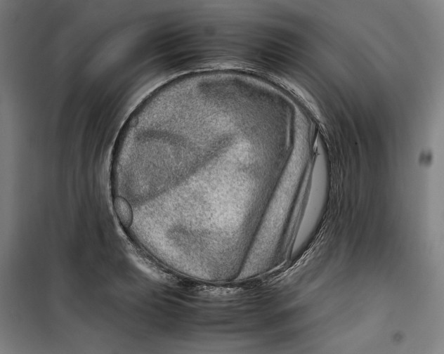 X0000099531039200806061427