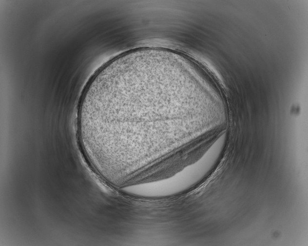 X0000099531040200806061427