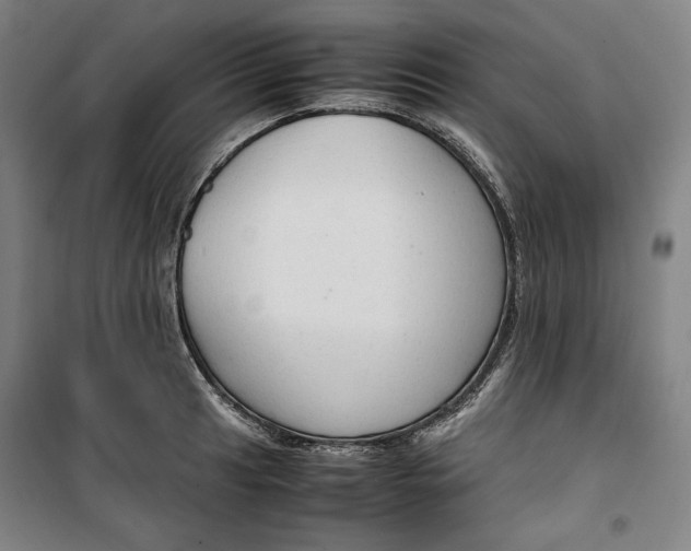 X0000099531041200806061427