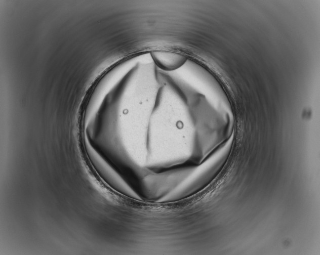 X0000099531042200806061427