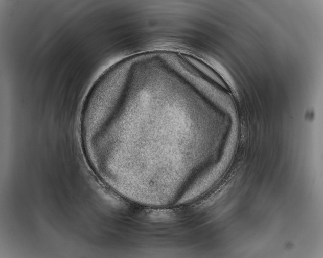 X0000099531043200806061427