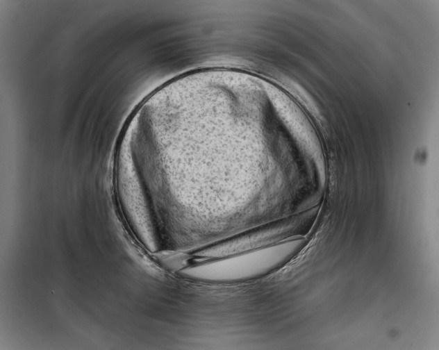 X0000099531044200806061427