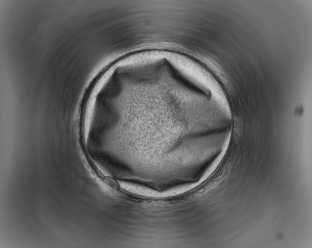 X0000099531046200806061427