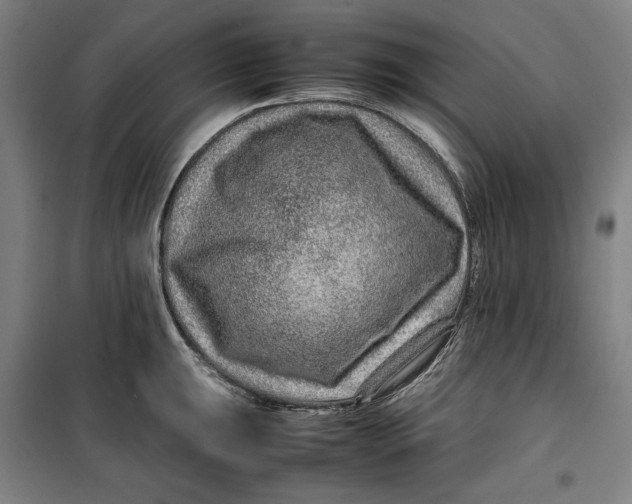 X0000099531047200806061427