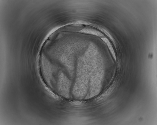 X0000099531048200806061427