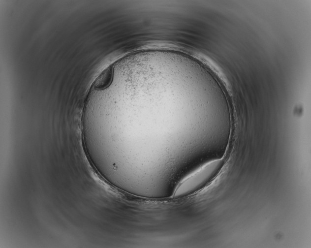 X0000099531049200806061427