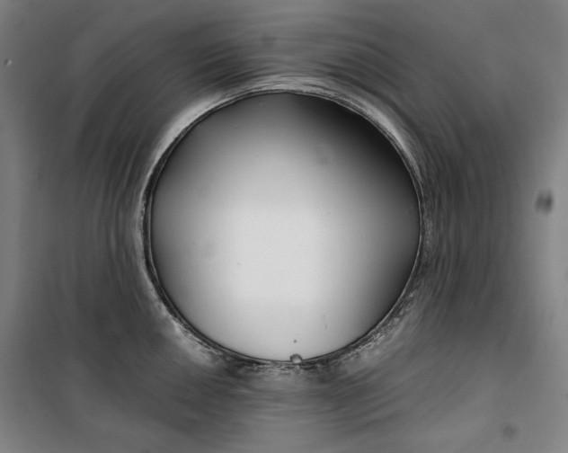 X0000099531050200806061427