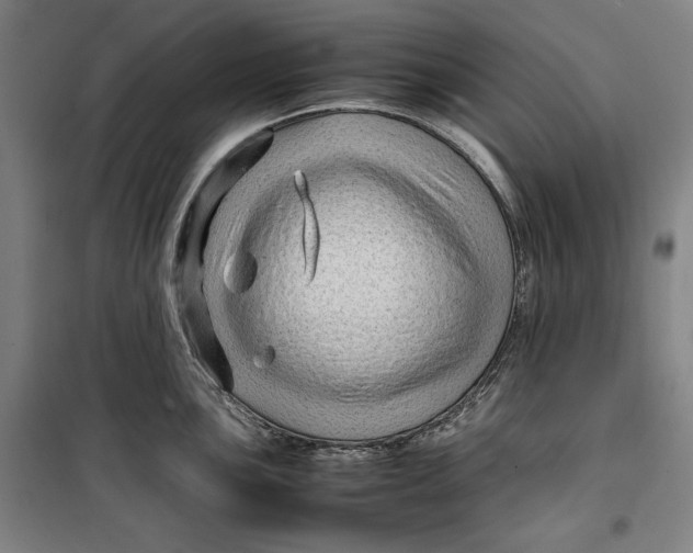 X0000099531051200806061427