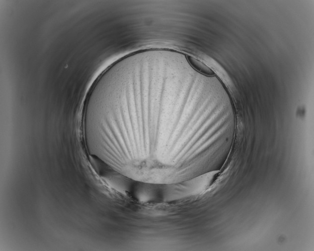 X0000099531052200806061427