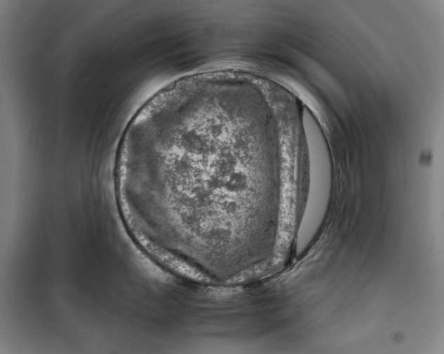 X0000099531055200806061427