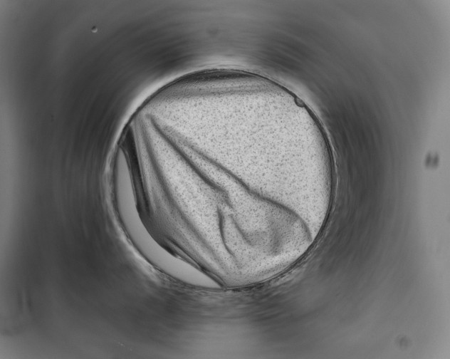 X0000099531056200806061427