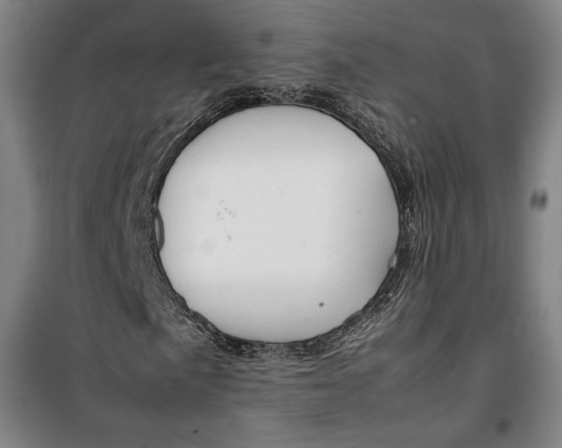 X0000099531057200806061426