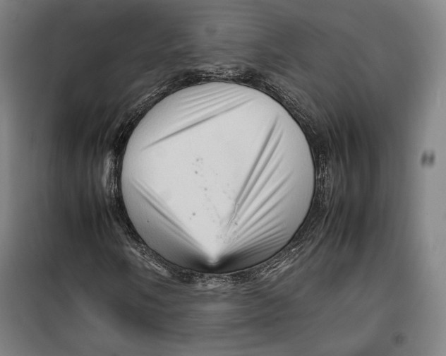 X0000099531058200806061426