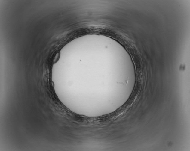 X0000099531061200806061426