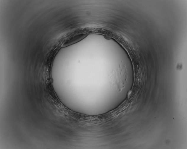 X0000099531062200806061426