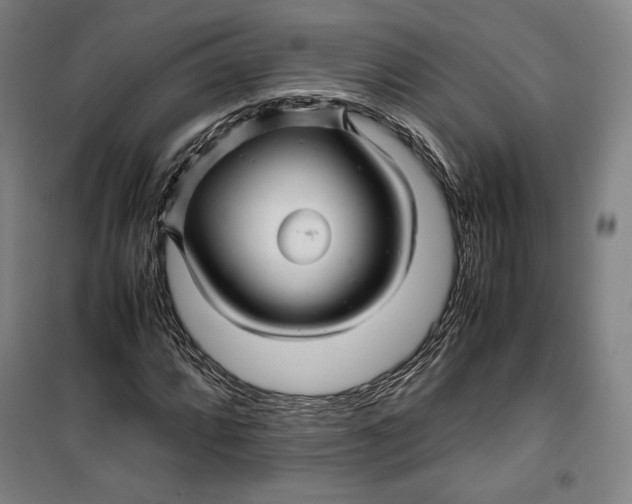 X0000099531064200806061426