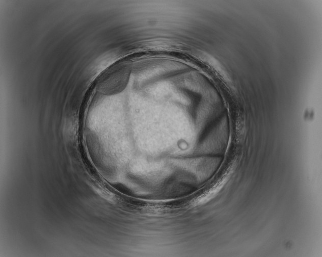 X0000099531065200806061426