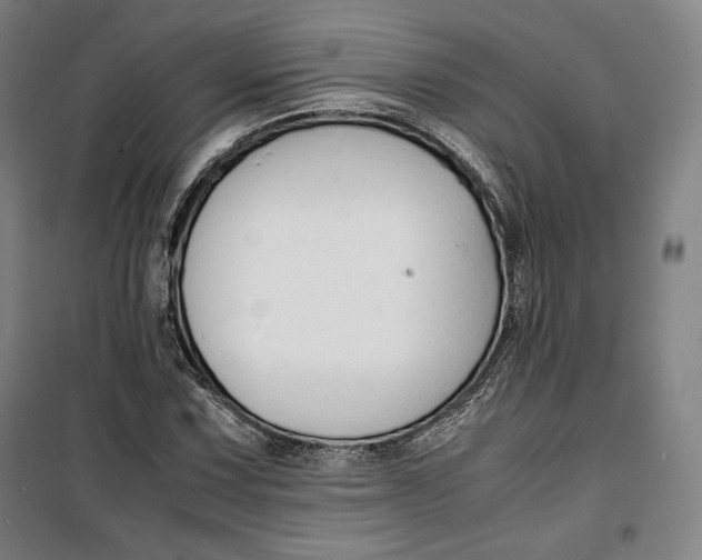 X0000099531067200806061426