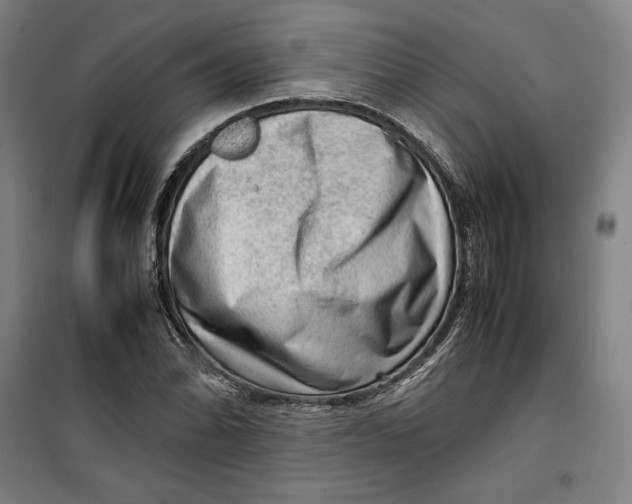 X0000099531070200806061426