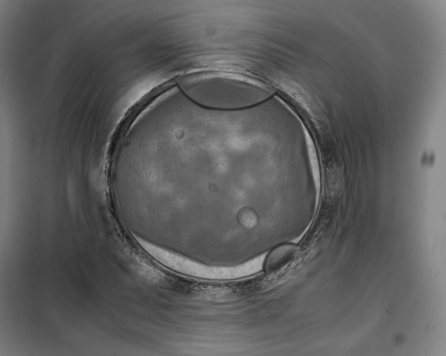 X0000099531071200806061426