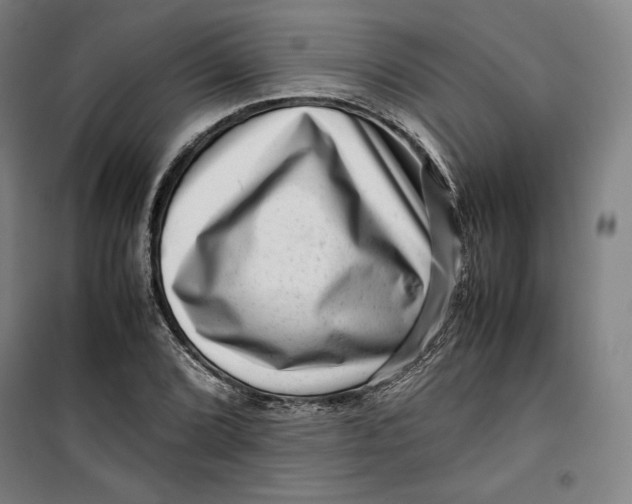 X0000099531072200806061426