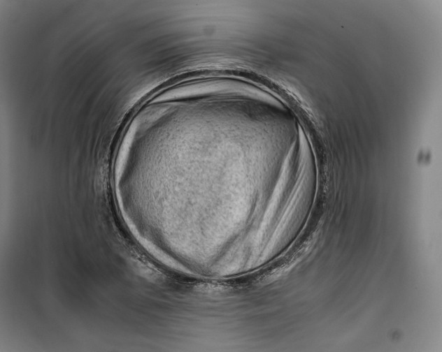 X0000099531073200806061426