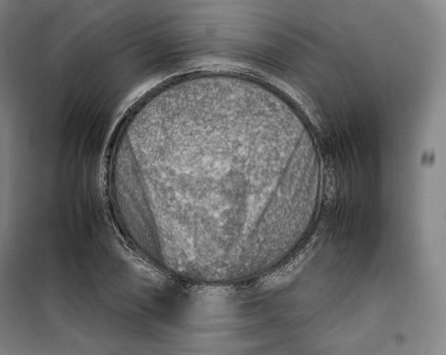 X0000099531074200806061426