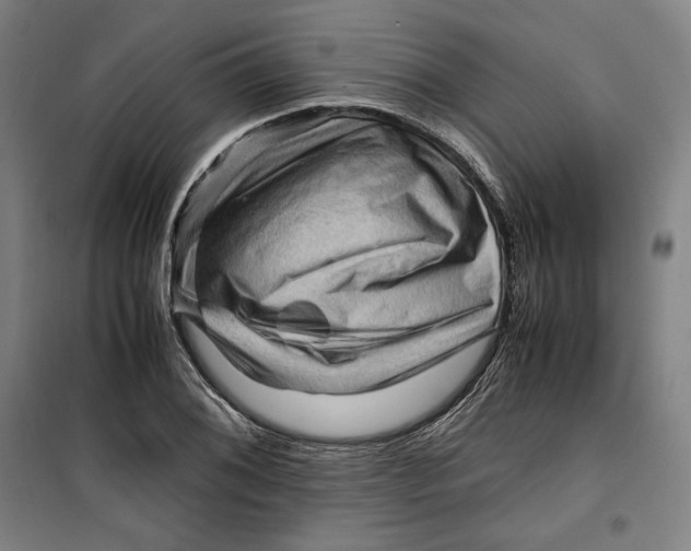 X0000099531076200806061426