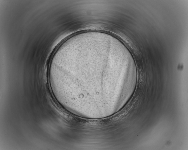 X0000099531078200806061426