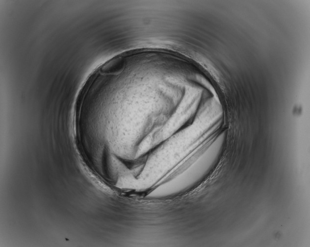 X0000099531080200806061426