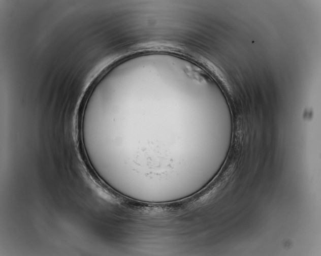 X0000099531082200806061426