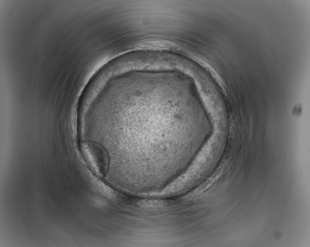 X0000099531083200806061426