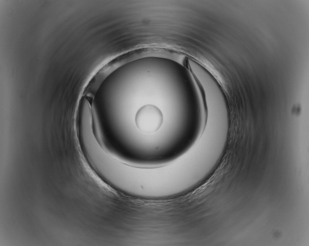 X0000099531084200806061426