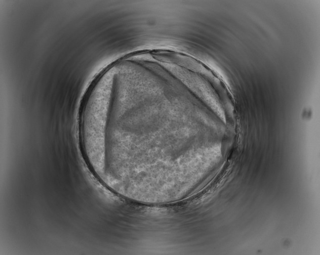 X0000099531088200806061426