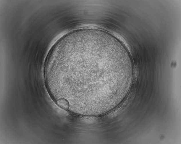 X0000099531090200806061426