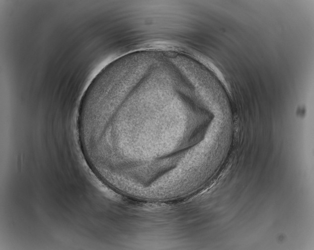 X0000099531091200806061426